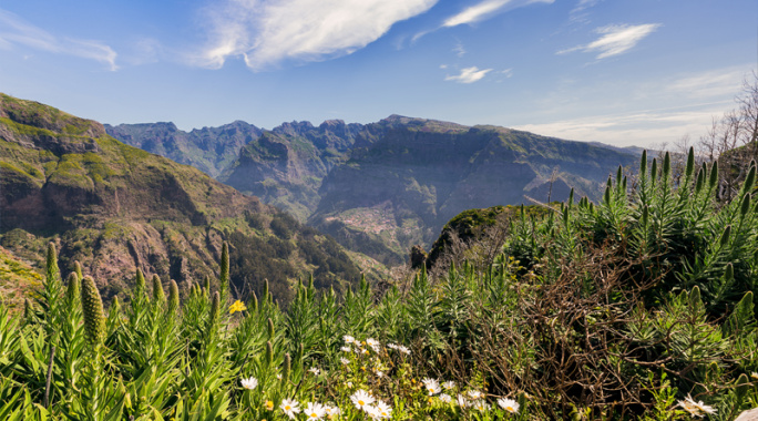 Circuit Au Cœur de Madère - Logement à l'hôtel Muthu Raga Madeira 4*, Circuit Portugal, Madère, Île de Madère par Ôvoyages Circuit Au Cœur de Madère - Logement à l'hôtel Muthu Raga Madeira 4*, Circuit Portugal, Madère, Île de Madère par Ôvoyages