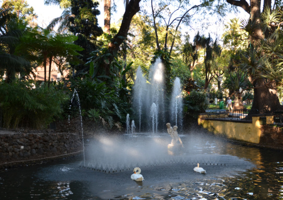 Circuit Au Cœur de Madère - Logement à l'hôtel Muthu Raga Madeira 4* Circuit Au Cœur de Madère - Logement à l'hôtel Muthu Raga Madeira 4*