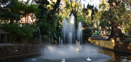 Circuit Au Cœur de Madère - Logement à l'hôtel Muthu Raga Madeira 4*, Circuit Portugal, Madère, Île de Madère par Ôvoyages Circuit Au Cœur de Madère - Logement à l'hôtel Muthu Raga Madeira 4*, Circuit Portugal, Madère, Île de Madère par Ôvoyages