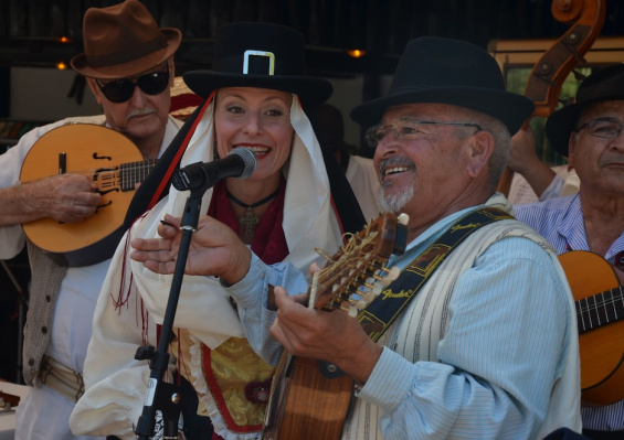 Hotel Parque Tropical Hotel Parque Tropical