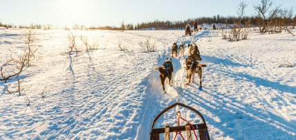 Hôtel Samperin Savotta en chalet (activités Hôtel Samperin Savotta en chalet (activités