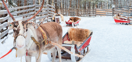 Hôtel Grand Arctic Resort (activités incluses), Séjour Finlande, Laponie par Ôvoyages Hôtel Grand Arctic Resort (activités incluses), Séjour Finlande, Laponie par Ôvoyages