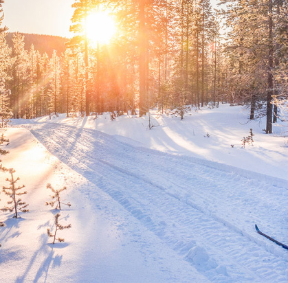 Hôtel Samperin Savotta (activités Hôtel Samperin Savotta (activités