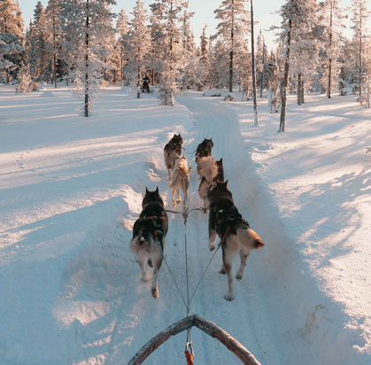 Hôtel Samperin Savotta (activités Au Cœur de la Laponie incluses), Séjour Finlande, Laponie par Ôvoyages Hôtel Samperin Savotta (activités Au Cœur de la Laponie incluses), Séjour Finlande, Laponie par Ôvoyages