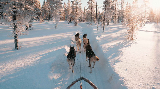 Hôtel Samperin Savotta (activités Au Cœur de la Laponie incluses), Séjour Finlande, Laponie par Ôvoyages Hôtel Samperin Savotta (activités Au Cœur de la Laponie incluses), Séjour Finlande, Laponie par Ôvoyages