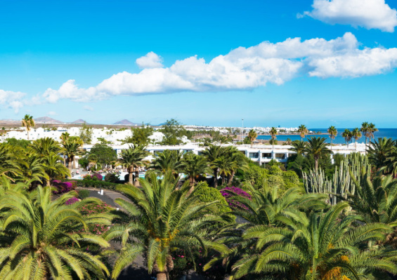 Hôtel Mondi Club Relaxia Olivina 4* Hôtel Mondi Club Relaxia Olivina 4*