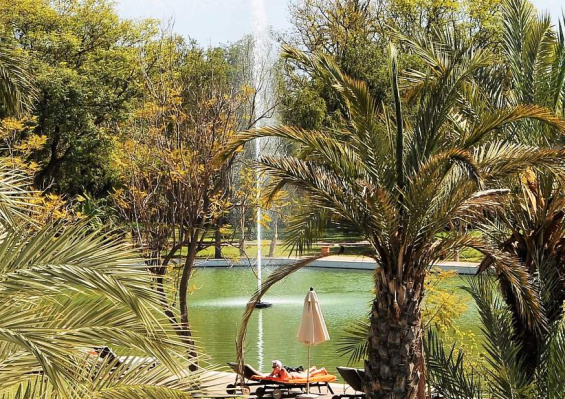 Hôtel Barcelo Palmeraie Oasis Resort 5* Hôtel Barcelo Palmeraie Oasis Resort 5*