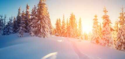 Hôtel Suomutunturi (activités à la carte incluses), Séjour Finlande, Laponie par Ôvoyages Hôtel Suomutunturi (activités à la carte incluses), Séjour Finlande, Laponie par Ôvoyages