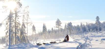 Hôtel Mondi Club Sodankyla (activités incluses), Séjour Finlande, Laponie par Ôvoyages Hôtel Mondi Club Sodankyla (activités incluses), Séjour Finlande, Laponie par Ôvoyages