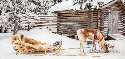 Hôtel Mondi Club Sodankyla (activités incluses), Séjour Finlande, Laponie par Ôvoyages Hôtel Mondi Club Sodankyla (activités incluses), Séjour Finlande, Laponie par Ôvoyages