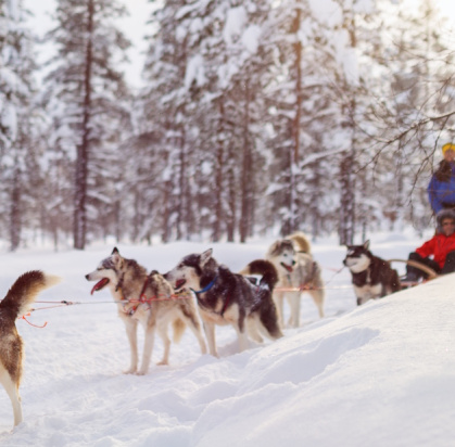 Hôtel Mondi Club Sodankyla (activités incluses), Séjour Finlande, Laponie par Ôvoyages Hôtel Mondi Club Sodankyla (activités incluses), Séjour Finlande, Laponie par Ôvoyages