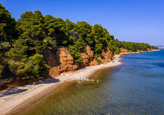 4 You Family 4 You Family