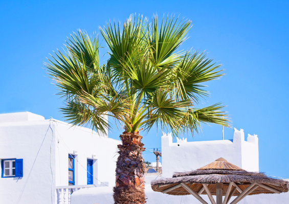 Hôtel Yiannaki 4* Hôtel Yiannaki 4*