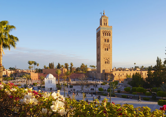 Marrakech & Désert - Ôclub Select Pickalbatros Hôtel du Golf 5* & Mia Agafay 4* by Ôvoyages (AO+16) Marrakech & Désert - Ôclub Select Pickalbatros Hôtel du Golf 5* & Mia Agafay 4* by Ôvoyages (AO+16)