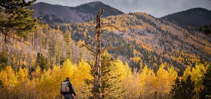 Autotour à la Découverte des Parcs de l'Ouest 2*/3*, Circuit Etats-Unis par Ôvoyages Autotour à la Découverte des Parcs de l'Ouest 2*/3*, Circuit Etats-Unis par Ôvoyages