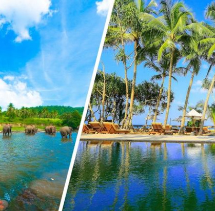 Combiné Balade Sri Lankaise privative 4* & Ôclub Experience Pandanus Beach Resort & Spa 5*, Circuit Sri Lanka par Ôvoyages Combiné Balade Sri Lankaise privative 4* & Ôclub Experience Pandanus Beach Resort & Spa 5*, Circuit Sri Lanka par Ôvoyages