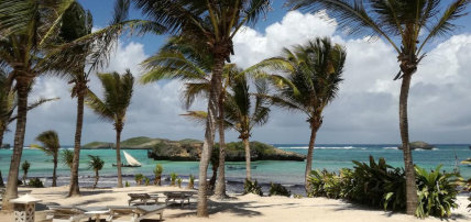 Hôtel Sun Palm Beach 4* Sup + Safari 2 nuits, Combiné Kenya par Ôvoyages Hôtel Sun Palm Beach 4* Sup + Safari 2 nuits, Combiné Kenya par Ôvoyages