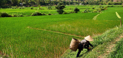 Circuit Paysages Majestueux du Vietnam Nord au Sud & plage 4*/5*, Circuit Vietnam par Ôvoyages Circuit Paysages Majestueux du Vietnam Nord au Sud & plage 4*/5*, Circuit Vietnam par Ôvoyages