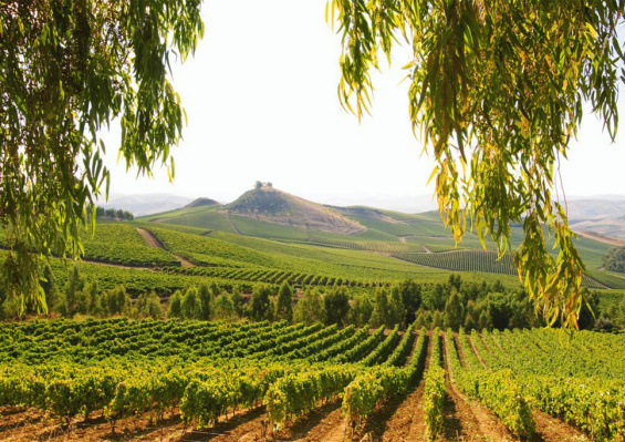 Circuit Grand Tour de la Sicile 4* Circuit Grand Tour de la Sicile 4*