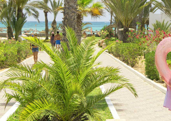 Hôtel Mondi Club Seabel Aladin 3* Sup Hôtel Mondi Club Seabel Aladin 3* Sup